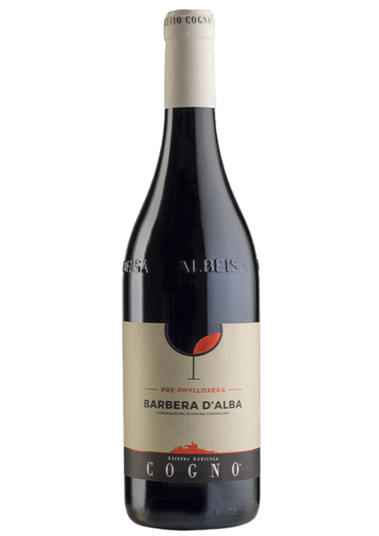 Elvio Cogno 2020 Barbera d’Alba pre-phylloxera